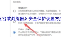 《谷歌浏览器》安全保护设置方法