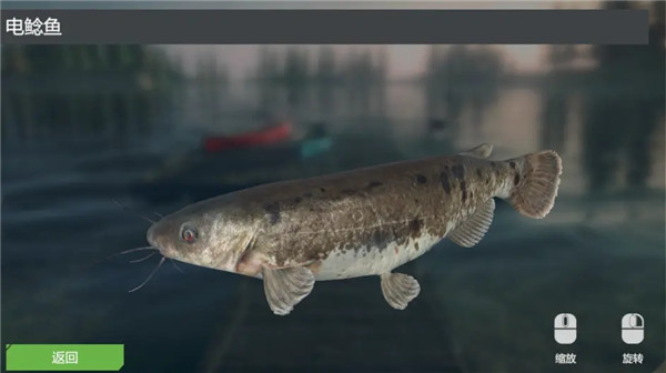 终极钓鱼模拟器 最新版(图5)