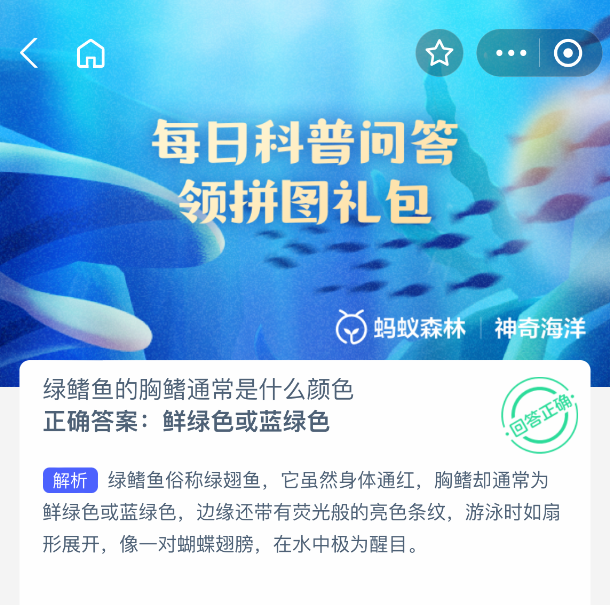 绿鳍鱼的胸鳍通常是什么颜色(图2) 绿鳍鱼的胸鳍通常是什么颜色(图2)