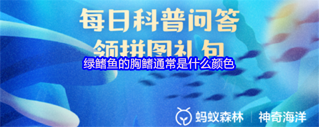 绿鳍鱼的胸鳍通常是什么颜色(图1) 绿鳍鱼的胸鳍通常是什么颜色(图1)