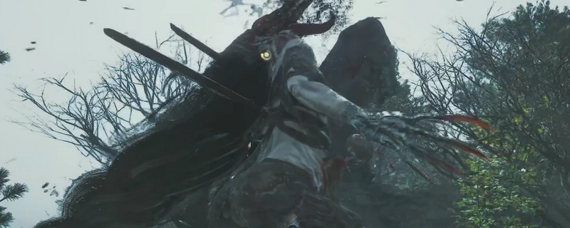 《明末：渊虚之羽》陆红柳打法技巧分享