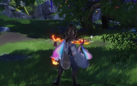 《伊莫》日耀狮宠物介绍(图2)