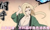 火影忍者：木叶高手角色培养推荐