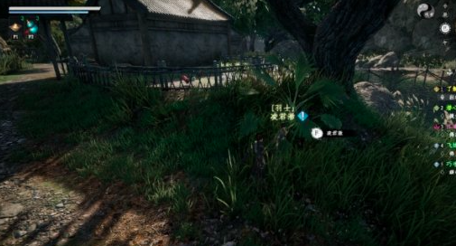 《下一站江湖2》羽士提升攻略(图2)