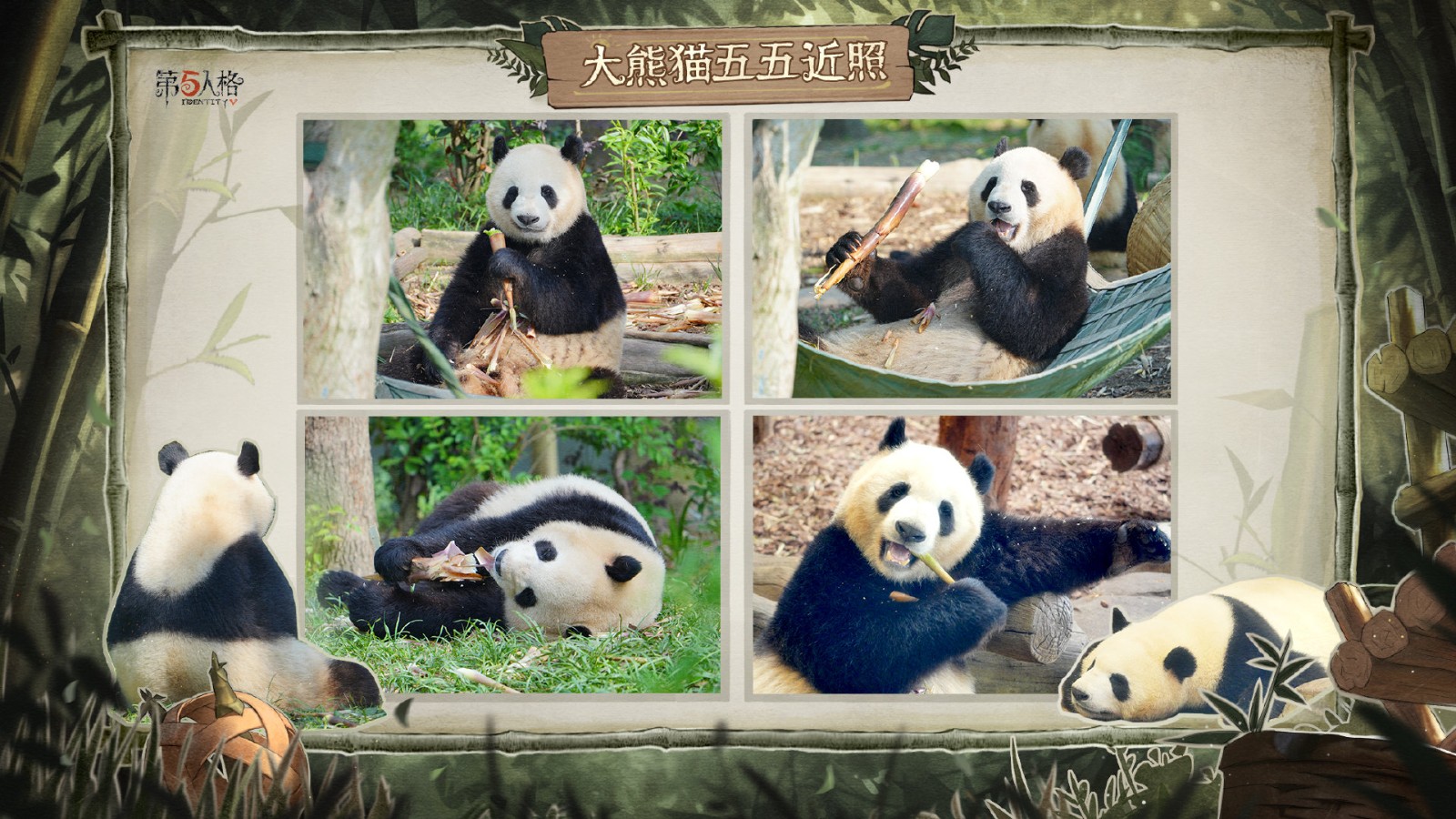 《第五人格》熊猫系列时装今日上新及返场