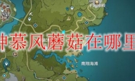 原神慕风蘑菇在哪里买
