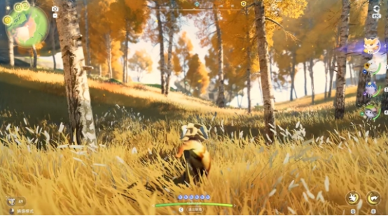 《伊莫》全息训练方法(图4)