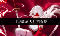 《龙魂旅人》荆介绍