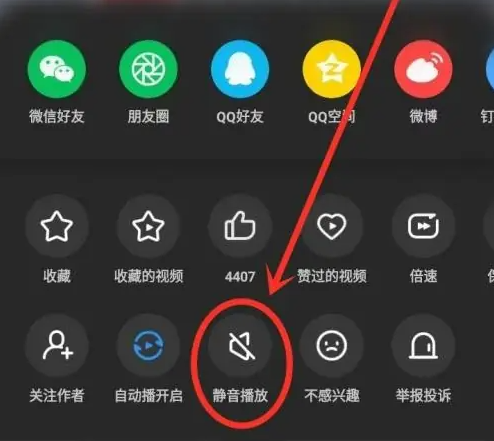 uc浏览器静音播放设置(图4)
