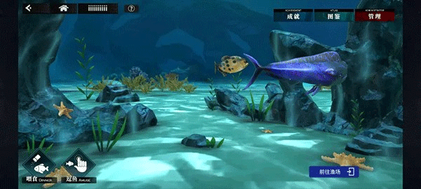 千年之旅 官方入口(图15)