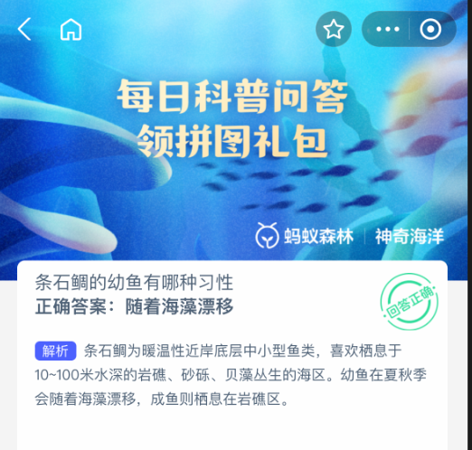 条石鲷的幼鱼有哪种习性(图2)