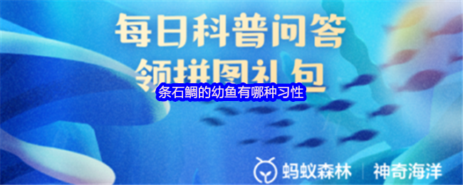 条石鲷的幼鱼有哪种习性(图1)