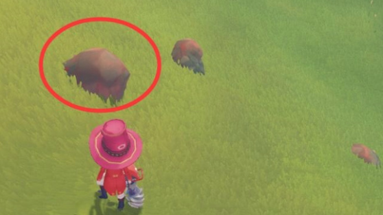 波西亚时光火山岩获取方法2