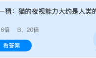 猫的夜视能力大约是人类的几倍