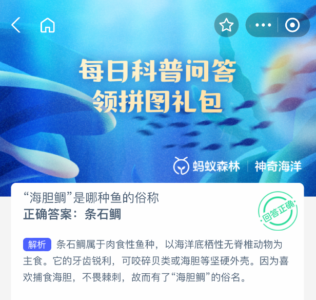 海胆鲷是哪种鱼的俗称