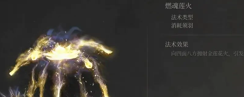 《明末：渊虚之羽》燃魂莲火法术获得方法介绍