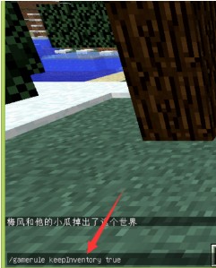 我的世界死亡不掉落指令如何去输入(图2)