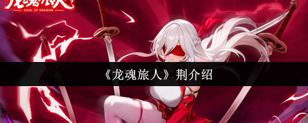 龙魂旅人荆怎么样-龙魂旅人荆介绍