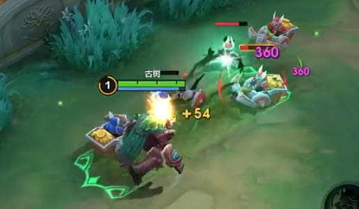 决胜巅峰古树怎么样-古树介绍