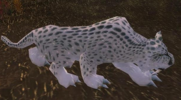 魔兽世界怀旧服黑海岸幽灵豹捕捉攻略1