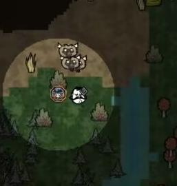 饥困荒野开局快速集齐幸存者技巧