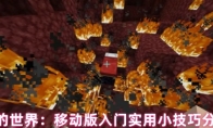 我的世界：移动版入门实用小技巧分享
