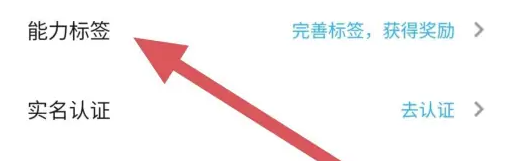 代练丸子能力标签查看位置(图5)