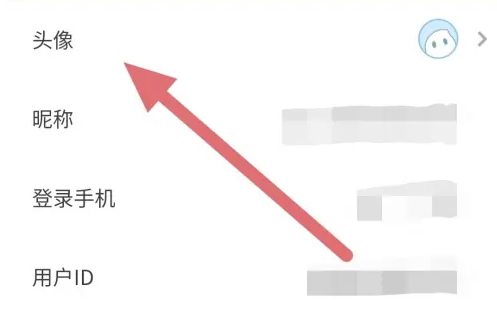 代练丸子头像修改方法(图5)