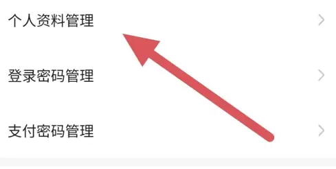 代练丸子头像修改方法(图4)