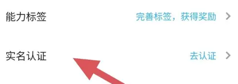 代练丸子查看实名认证位置(图5)