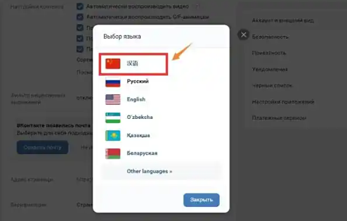 VKontakte中文设置方法(图4)