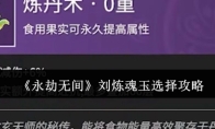 《永劫无间》刘炼魂玉选择攻略