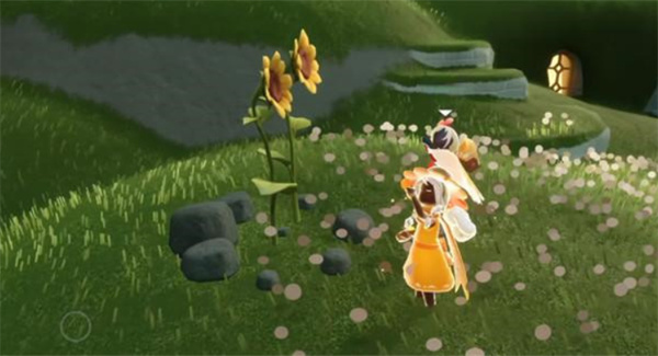 光遇有友节双生向日葵位置分布