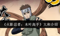 《火影忍者：木叶高手》大和介绍