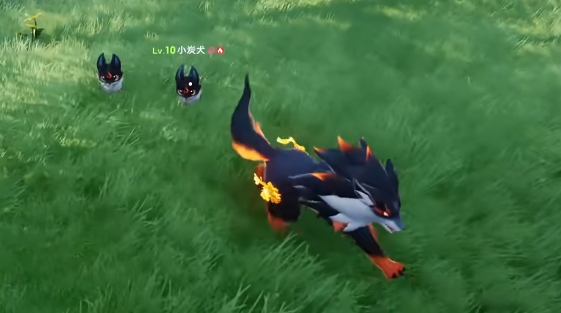 《伊莫》新手期宠物选择攻略(图3)