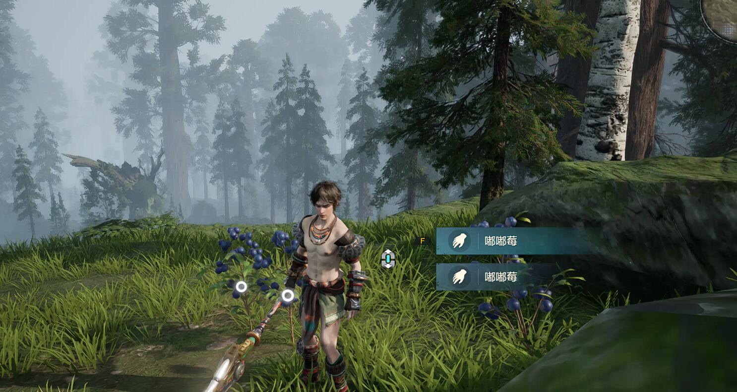 《荒野起源》放逐森林玩法介绍(图3)