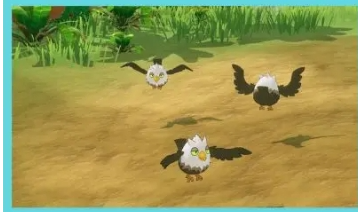 《口袋新旅途》颓颓鹰捕捉攻略(图2)