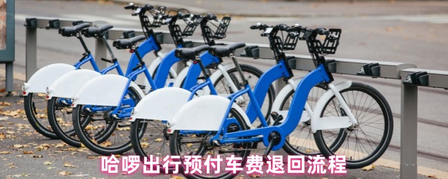 哈啰出行预付车费退回流程