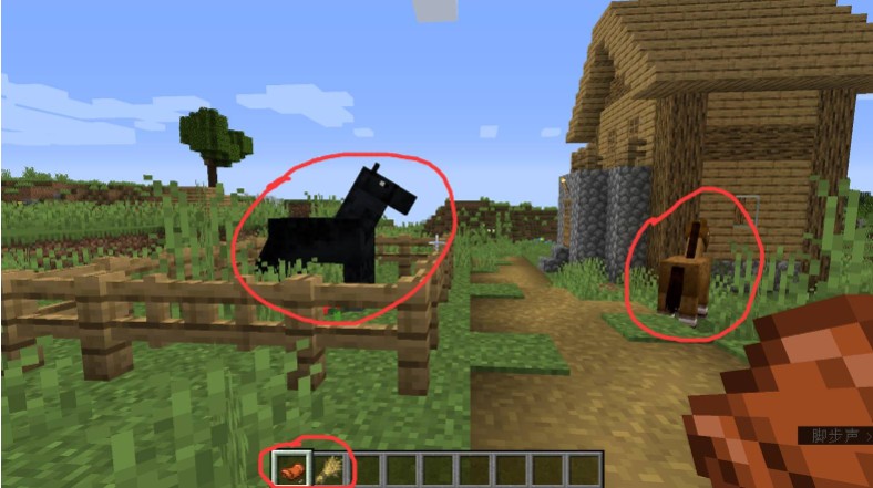 我的世界怎么驯服马当坐骑(图1)