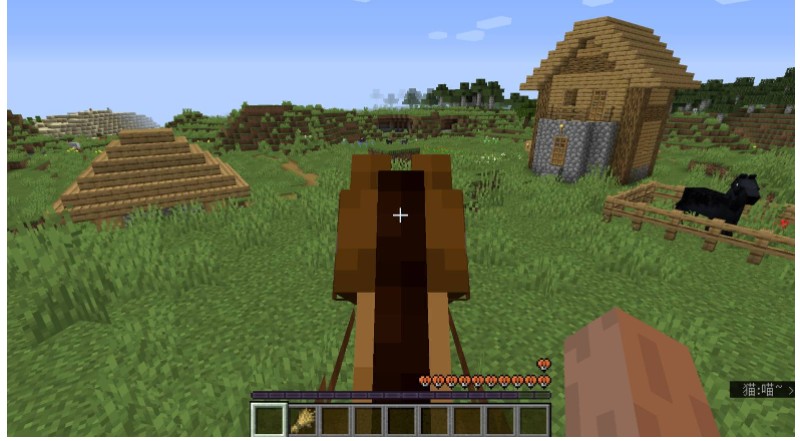 我的世界怎么驯服马当坐骑(图4)