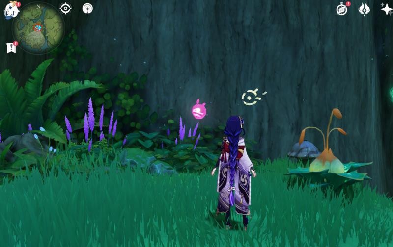 原神水天丛林怎么解密(图10)