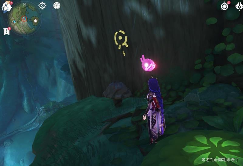 原神水天丛林怎么解密(图15)