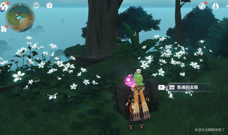 原神水天丛林怎么解密(图24)