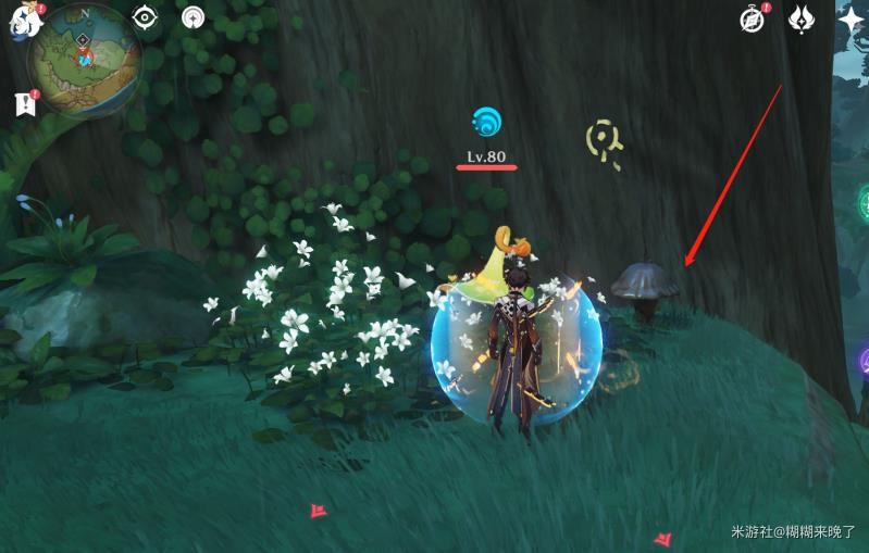 原神水天丛林怎么解密(图27)