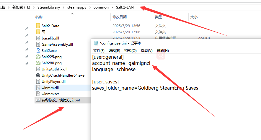 《盐2：黄金海岸》游侠对战平台联机教程