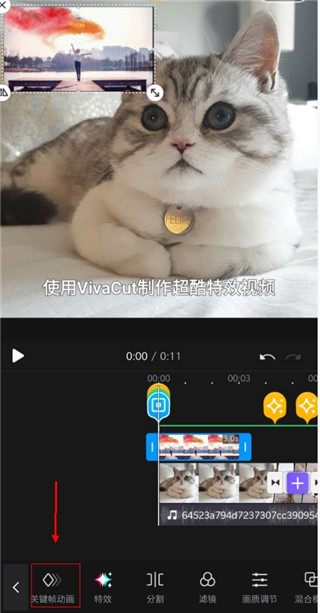 vivacut 安卓版(图2)