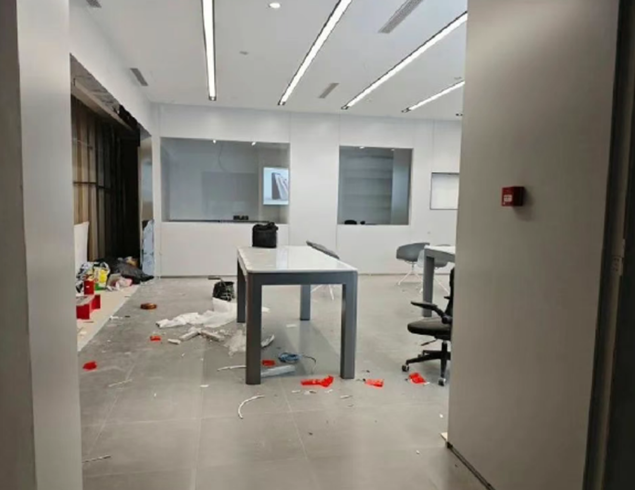 想不到都2025年了，小米手机还是得靠“抢”的(图19)