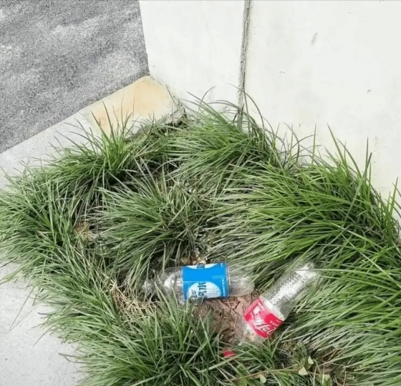 韩国演员偷拍上海快递员休息照 网友批评：侵犯隐私！(图4)