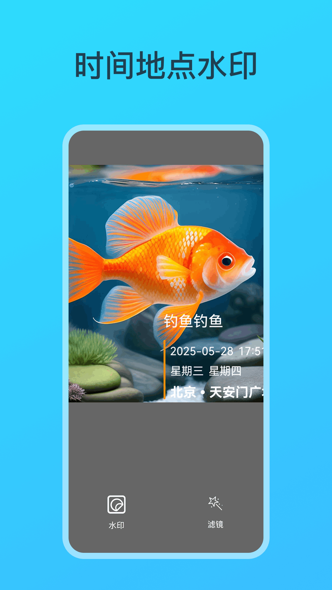 
钓鱼相机app