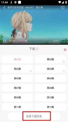 曼波动漫 app官方版2025无广告(图3)